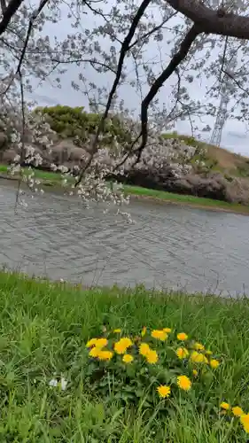 武蔵第六天神社(埼玉県)