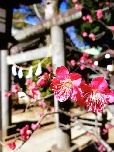 布多天神社(東京都)