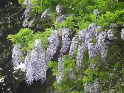 英勝寺(神奈川県)
