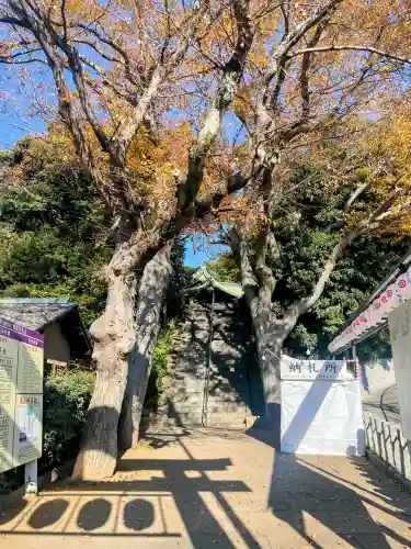 検見川神社の{uncategorized: "未分類", other: "その他", undefined: "問題あり", building: "その他建物", grave: "お墓", sacred_gate: "鳥居", guardian: "狛犬", statue: "像", buddha: "仏像", history: "歴史", nature: "自然", garden: "庭園", animal: "動物", pagoda: "塔", temizu: "手水舎", mountain_gate: "山門・神門", sanctuary: "本殿・本堂", subordinate: "末社・摂社", art: "芸術", scenery: "景色", jizo: "地蔵", ema: "絵馬", goshuin: "御朱印", omikuji: "おみくじ", items: "授与品その他", amulet: "お守り", goshuincho: "御朱印帳", eats: "食事", festival: "お祭り", votive_dance: "神楽", shichigosan: "七五三参", wedding: "結婚式", experience: "体験その他", initially: "初詣", around: "周辺", anti_infection: "感染症対策"}