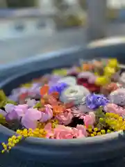 鹿島台神社の手水