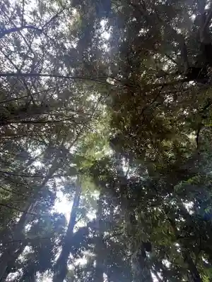 朝日森天満宮(栃木県)