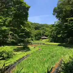 明治神宮の庭園