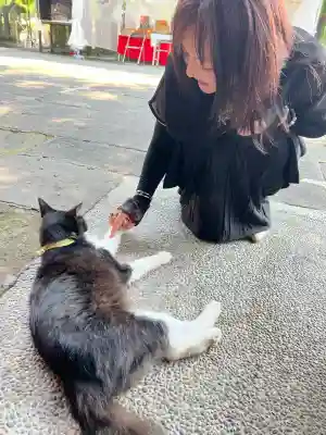 別所琴平神社(熊本県)