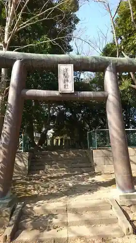 浅間神社の鳥居