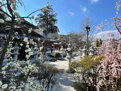 伊和志津神社(兵庫県)