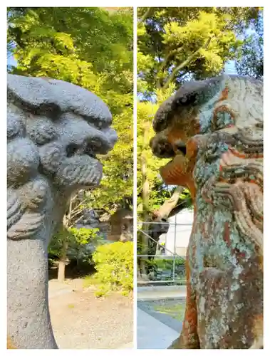 諏訪八幡神社の狛犬