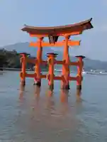 厳島神社(広島県)