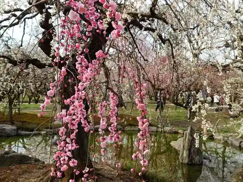北野天満宮(京都府)