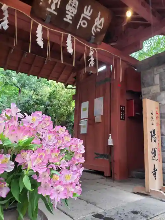 陽運寺(東京都)
