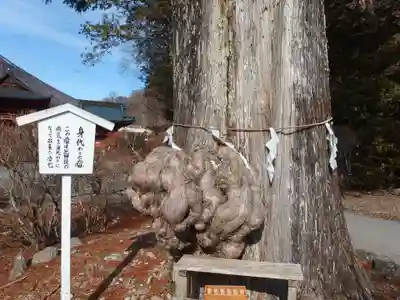 中禅寺(栃木県)