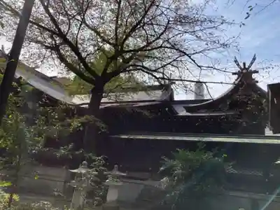 熊野神社の本殿・本堂