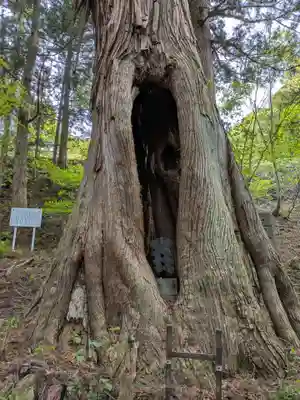 迦葉山龍華院弥勒護国寺(弥勒寺)の自然