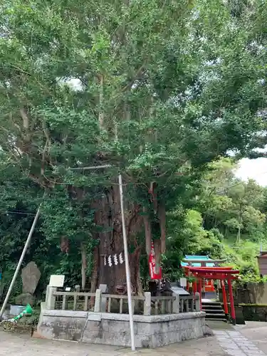 海南神社の自然