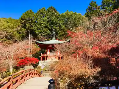 醍醐寺(京都府)