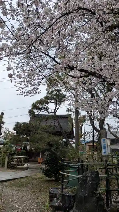 藤森神社(京都府)