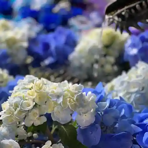 札幌諏訪神社の手水