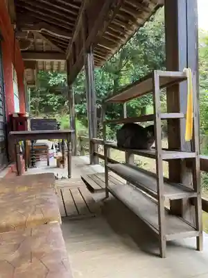 太江寺の動物