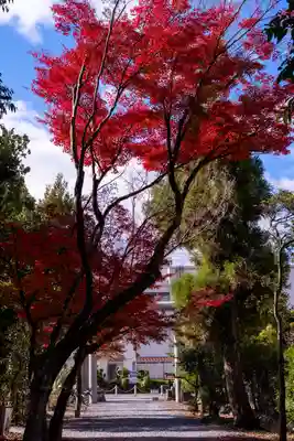 水無瀬神宮(大阪府)