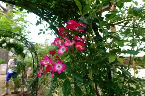 おふさ観音（観音寺）の庭園