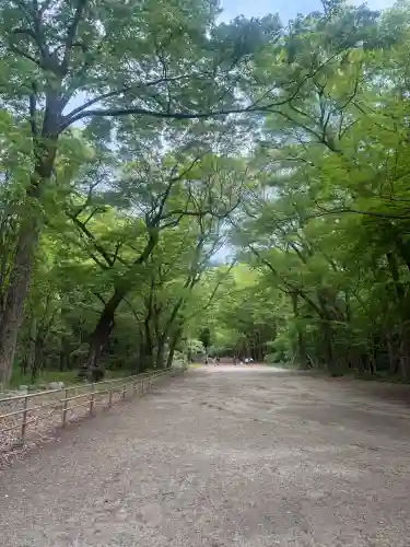 賀茂御祖神社（下鴨神社）の{uncategorized: "未分類", other: "その他", undefined: "問題あり", building: "その他建物", grave: "お墓", sacred_gate: "鳥居", guardian: "狛犬", statue: "像", buddha: "仏像", history: "歴史", nature: "自然", garden: "庭園", animal: "動物", pagoda: "塔", temizu: "手水舎", mountain_gate: "山門・神門", sanctuary: "本殿・本堂", subordinate: "末社・摂社", art: "芸術", scenery: "景色", jizo: "地蔵", ema: "絵馬", goshuin: "御朱印", omikuji: "おみくじ", items: "授与品その他", amulet: "お守り", goshuincho: "御朱印帳", eats: "食事", festival: "お祭り", votive_dance: "神楽", shichigosan: "七五三参", wedding: "結婚式", experience: "体験その他", initially: "初詣", around: "周辺", anti_infection: "感染症対策"}