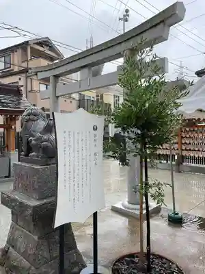 出雲大社埼玉分院(埼玉県)