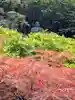 豊顕寺(神奈川県)