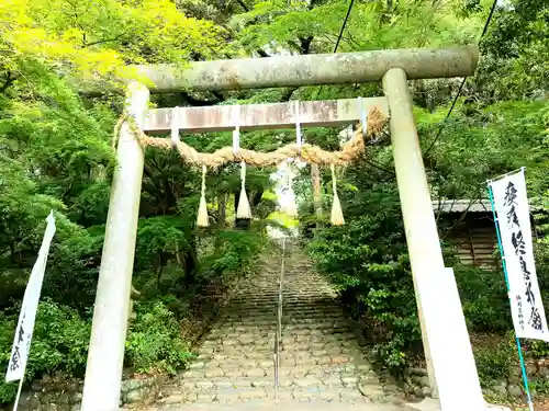 龍尾神社の鳥居