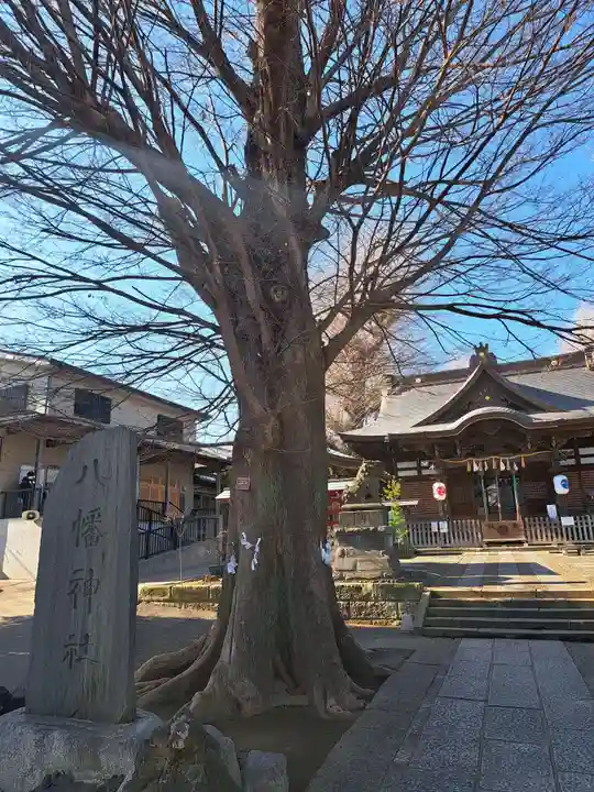 滝野川八幡神社(東京都)