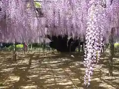玉敷神社の庭園
