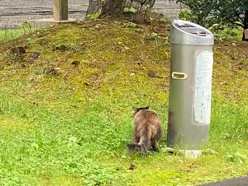 山梨縣護國神社の動物