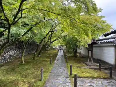 酬恩庵一休寺(京都府)