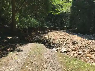 韓竈神社の自然