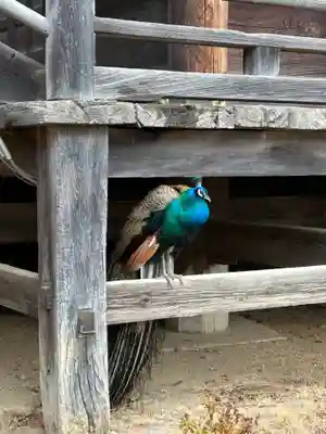 楽法寺（雨引観音）(茨城県)