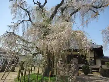 観音寺(茨城県)