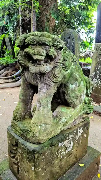 七百餘所神社 の狛犬