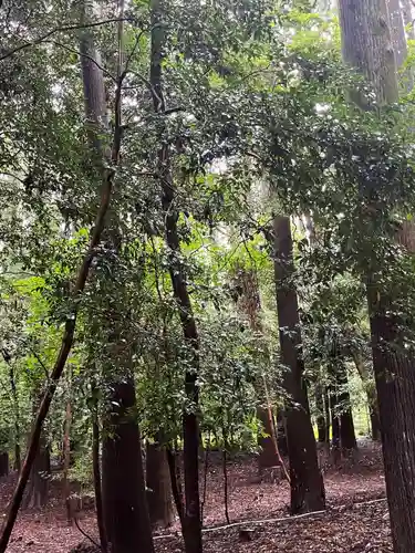 霧島神宮(鹿児島県)