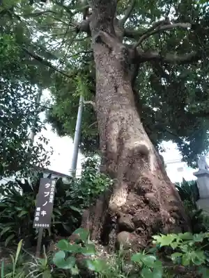 曹洞宗清水寺(神奈川県)
