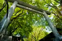 碓氷峠熊野神社(群馬県)