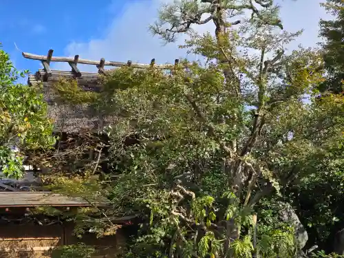 泉徳寺(京都府)