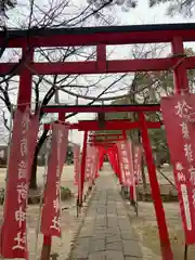 於菊稲荷神社の鳥居