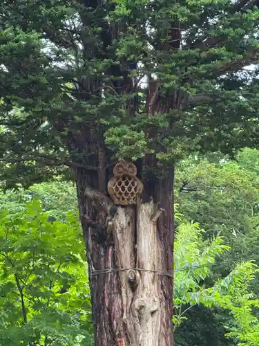 飯生神社(北海道)