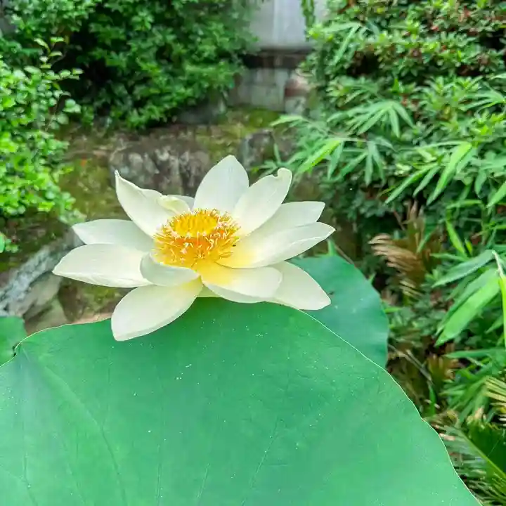伊勢の国 四天王寺(三重県)