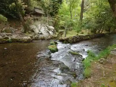 賀茂別雷神社（上賀茂神社）(京都府)