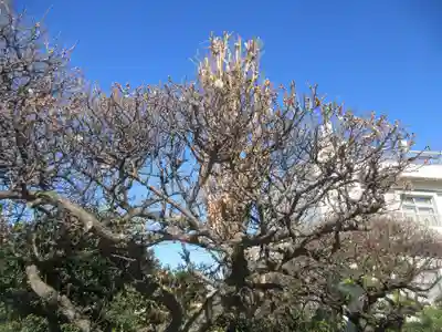 本願寺(東京都)