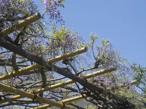 教恩寺のその他建物