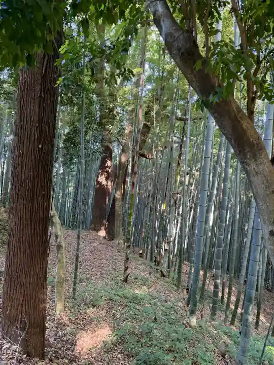 石清水八幡宮の{uncategorized: "未分類", other: "その他", undefined: "問題あり", building: "その他建物", grave: "お墓", sacred_gate: "鳥居", guardian: "狛犬", statue: "像", buddha: "仏像", history: "歴史", nature: "自然", garden: "庭園", animal: "動物", pagoda: "塔", temizu: "手水舎", mountain_gate: "山門・神門", sanctuary: "本殿・本堂", subordinate: "末社・摂社", art: "芸術", scenery: "景色", jizo: "地蔵", ema: "絵馬", goshuin: "御朱印", omikuji: "おみくじ", items: "授与品その他", amulet: "お守り", goshuincho: "御朱印帳", eats: "食事", festival: "お祭り", votive_dance: "神楽", shichigosan: "七五三参", wedding: "結婚式", experience: "体験その他", initially: "初詣", around: "周辺", anti_infection: "感染症対策"}