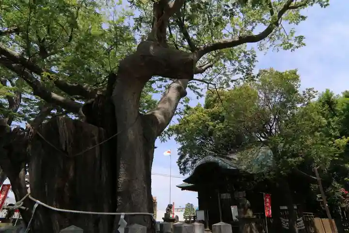 阿邪訶根神社の本殿・本堂