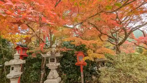 鍬山神社(京都府)