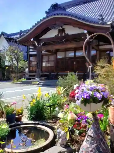 智光院(東京都)